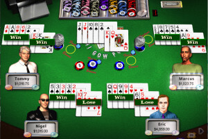 Hoyle Casino Games 2008