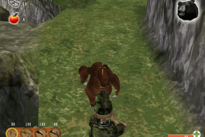 Hunt
