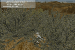 Hunting Unlimited 2