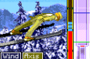I.F. Ski Jumping