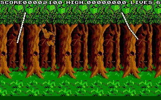Jungle Boy