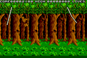 Jungle Boy