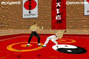 Karate Fighter