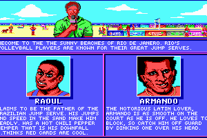 Kings of the Beach