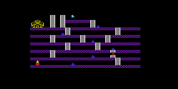 Konkey Kong