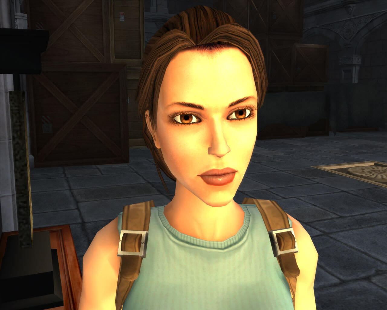 Lara Croft: Tomb Raider - Anniversary