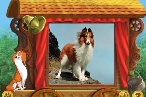 Lassie