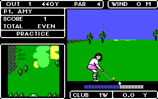 Lee Trevino's Fighting Golf