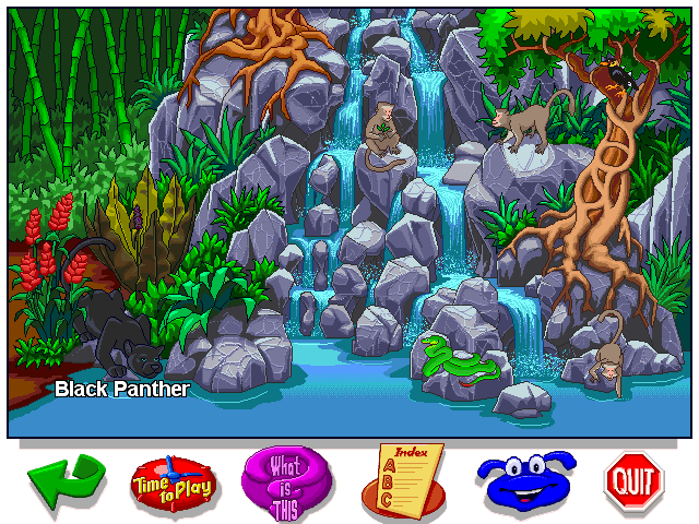 Let's Explore the Jungle