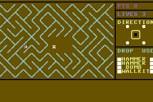 Lost in the Labyrinth