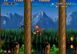 Magical Cat Adventure