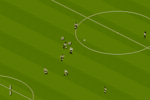Manchester United: The Double