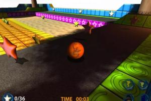 Marble Arena