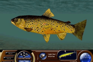 Matt Hayes' Fishing