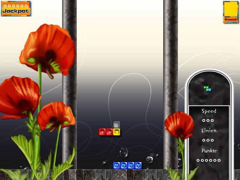 Metris 5