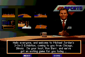 Michael Jordan in Flight