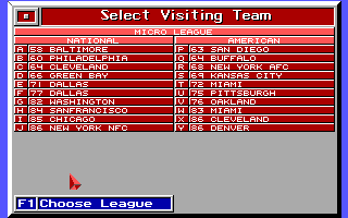 Micro League Football