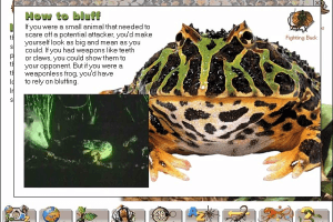 Microsoft Dangerous Creatures