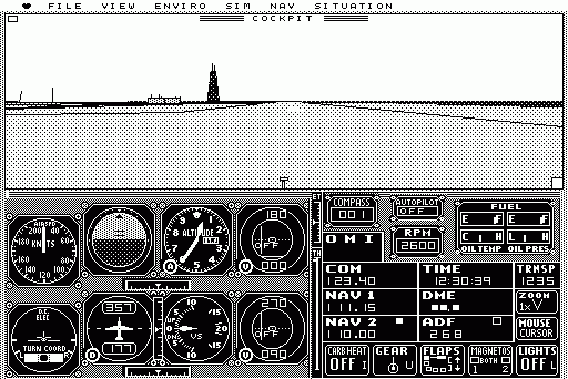 Microsoft Flight Simulator