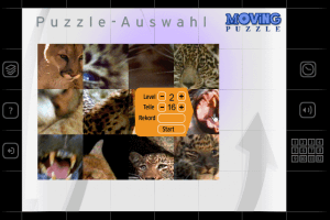 Moving Puzzle: Cats
