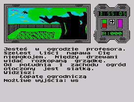Mózg Procesor