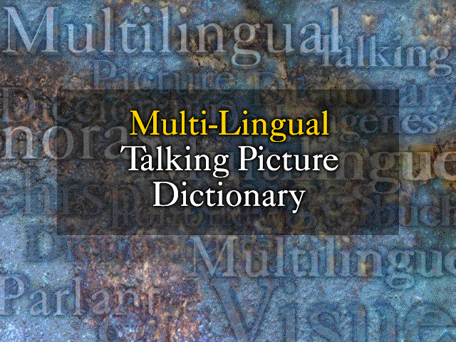 Multi-Lingual Talking Picture Dictionary