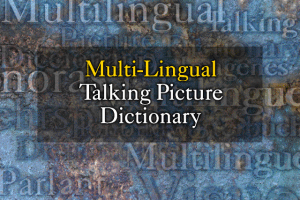 Multi-Lingual Talking Picture Dictionary