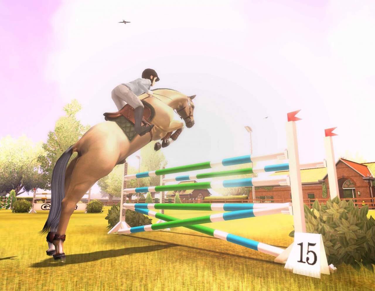 My Horse & Me