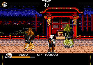 Mystical Fighter