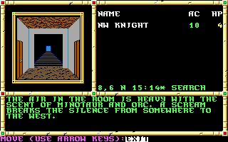 Neverwinter Nights