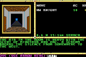 Neverwinter Nights