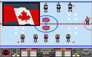 NHL Hockey