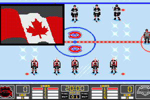 NHL Hockey