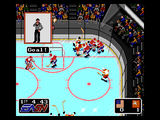 NHL Hockey