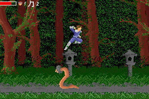 Ninja Densetsu 2