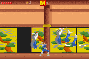Ninja Densetsu