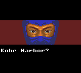 Ninja Gaiden
