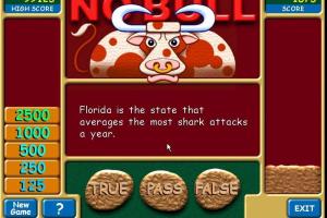 No Bull