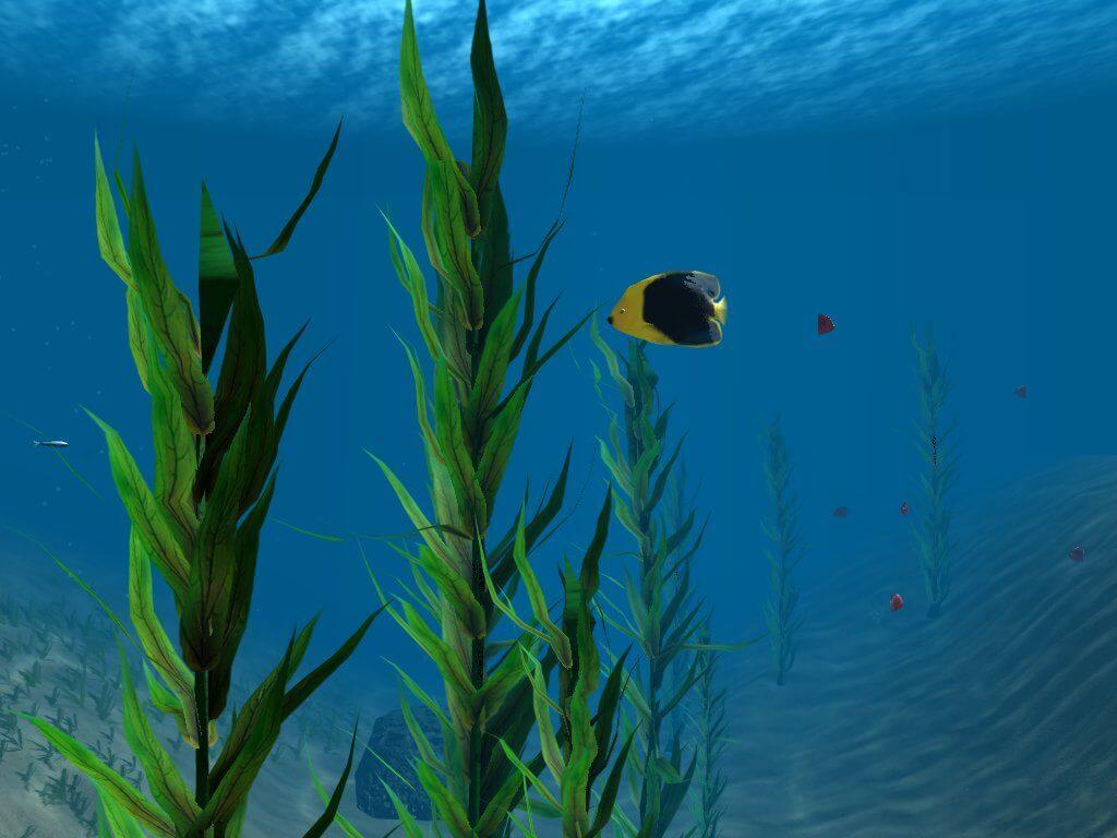 OceanDive