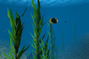 OceanDive