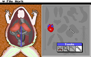 Operation: Frog