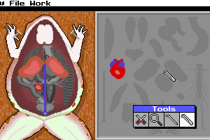 Operation: Frog
