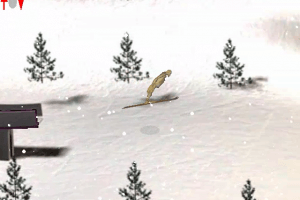 Pet Jumping