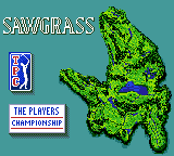 PGA Tour 96