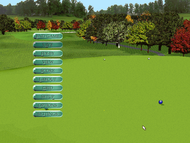 PGA Tour 96