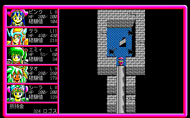 Pink Shock Pirates 2