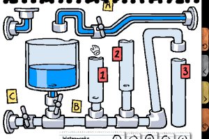 Play & Learn: Science Experiments