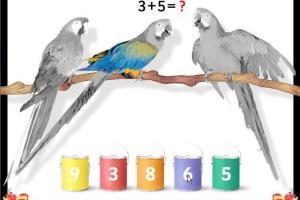 Play & Learn: Writing and Calculating