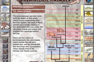 Prehistoric Animals