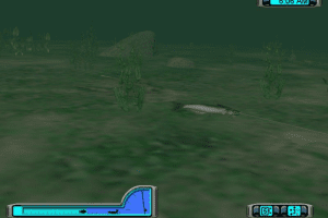 Pro Bass Fishing 2003
